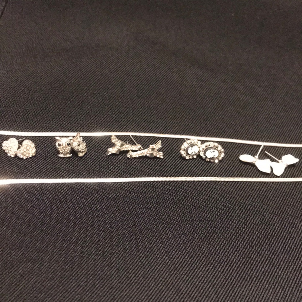 Silver and black earrings with silver necklace